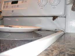is it safe to use an oven touched with mouse poop