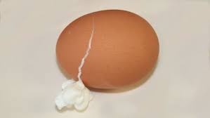 What Does A Cracked Boiled Egg Look Like