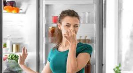 What To Do If My Refrigerator Smells Like Chemicals 1